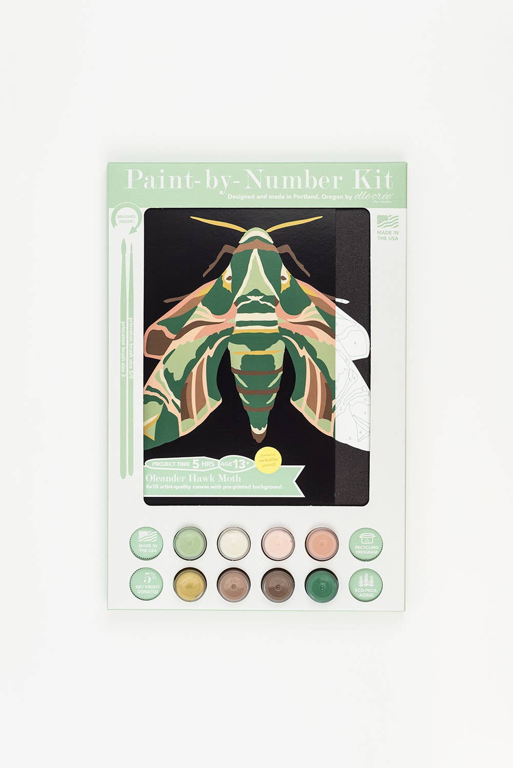 Paint-by-Number Kit - Oleander Hawk Moth