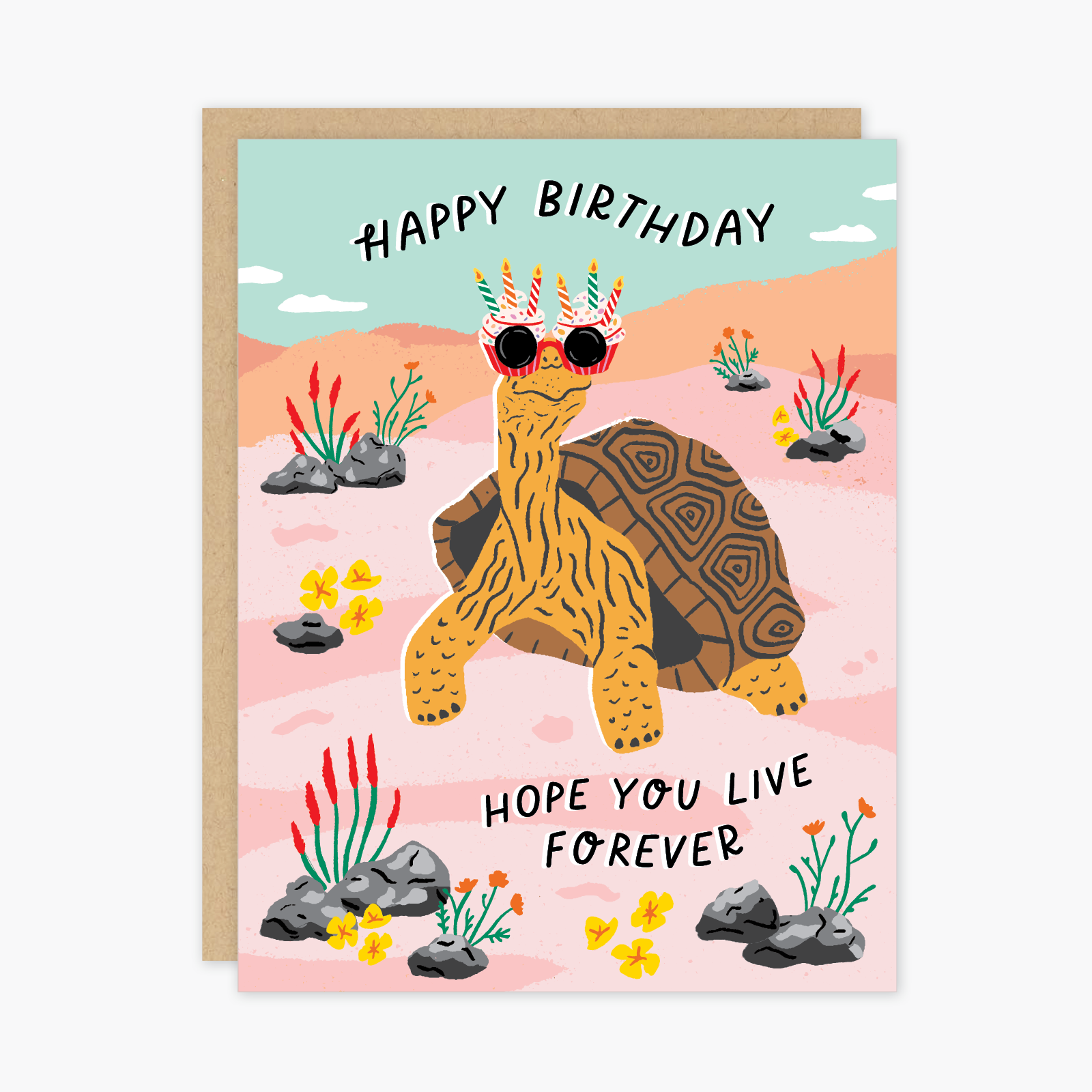 Tortoise Birthday Card