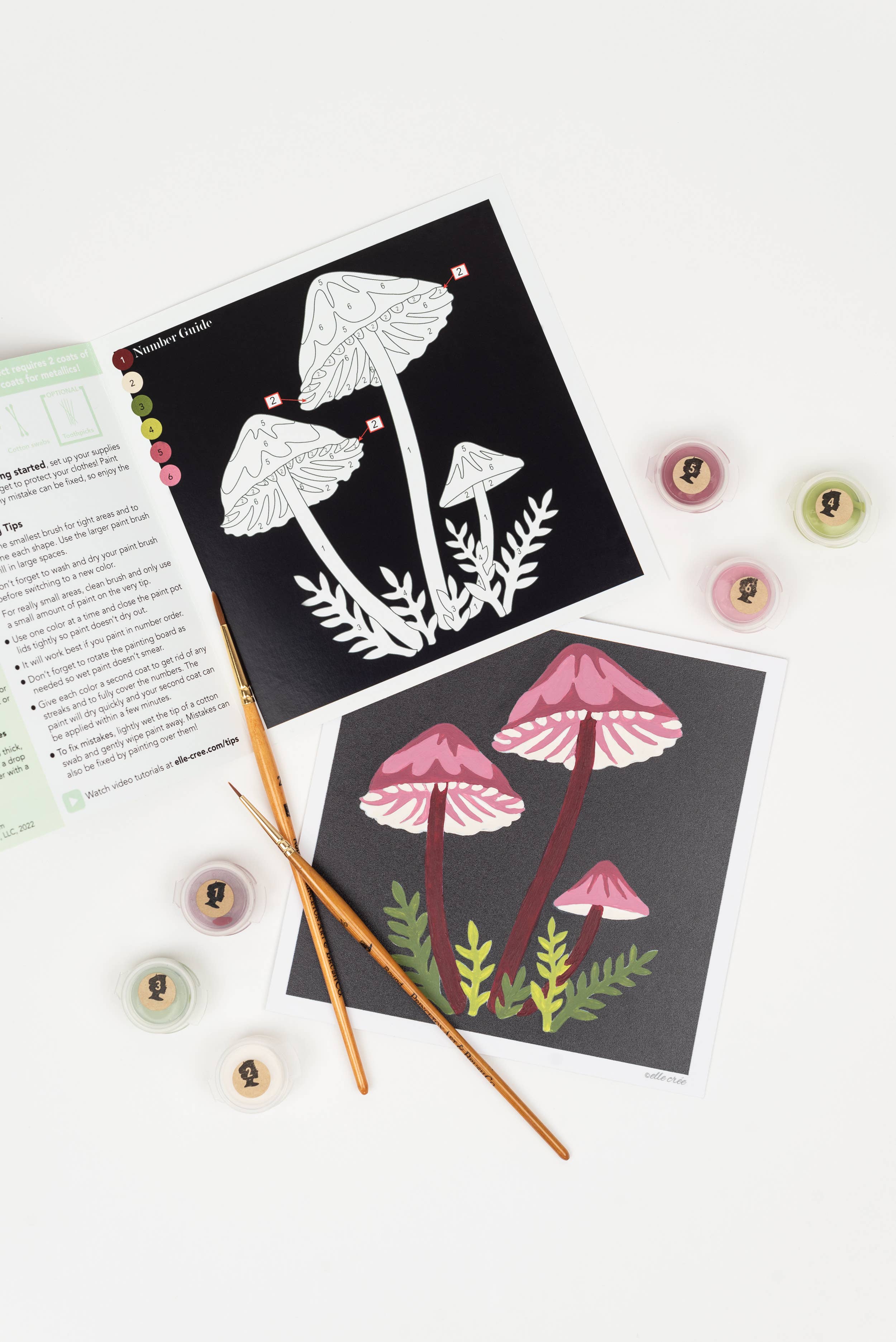 Paint-by-Number Kit MINI - Bleeding Fairy Helmet Mushrooms