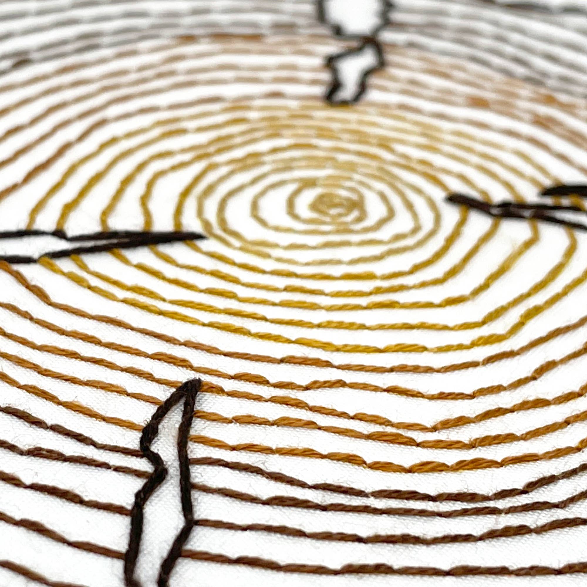 Tree Rings - Embroidery Kit