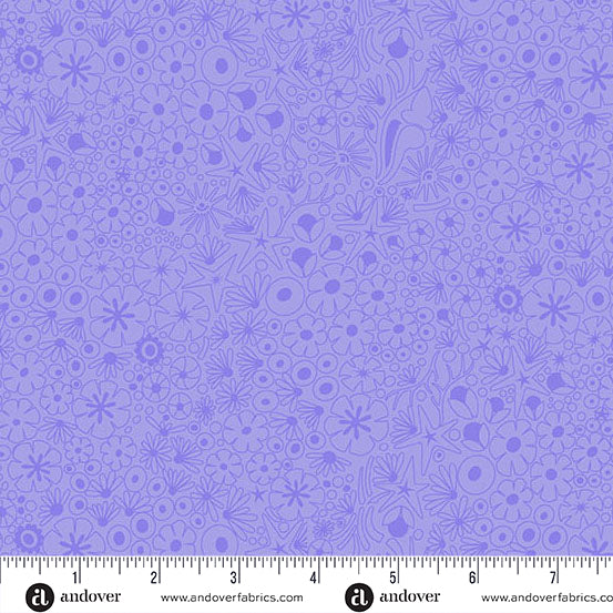 Shallows - Light Violet - Color Camp