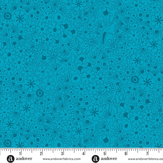 Shallows - Peacock - Color Camp