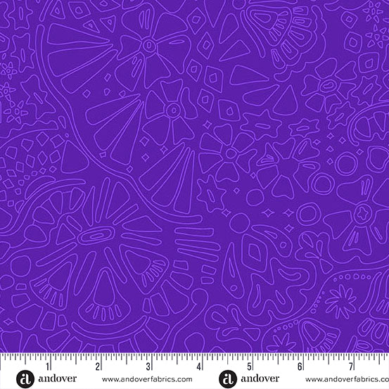 Veil - Dark Galaxy - Color Camp