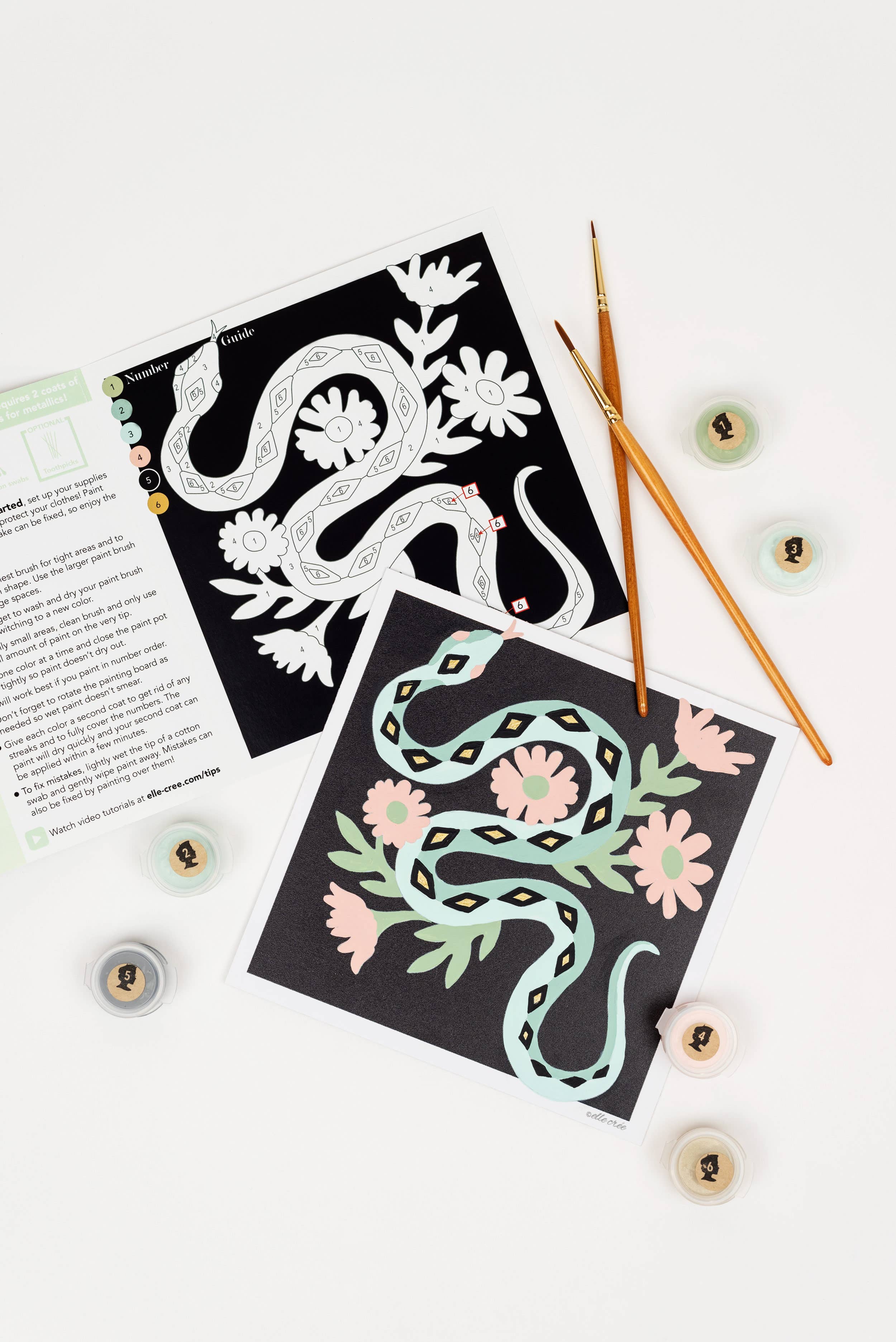 Paint-by-Number Kit MINI - Snake