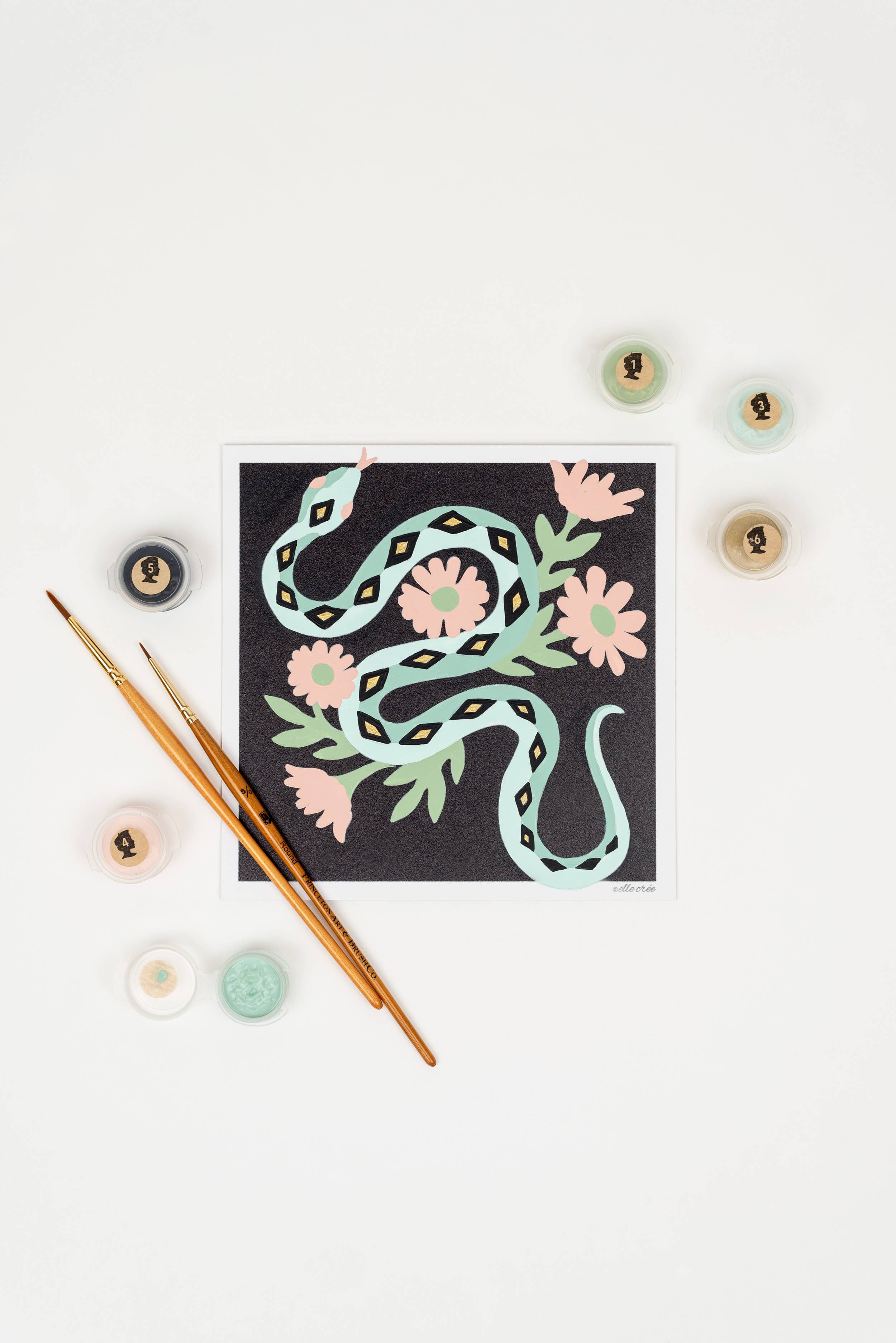 Paint-by-Number Kit MINI - Snake