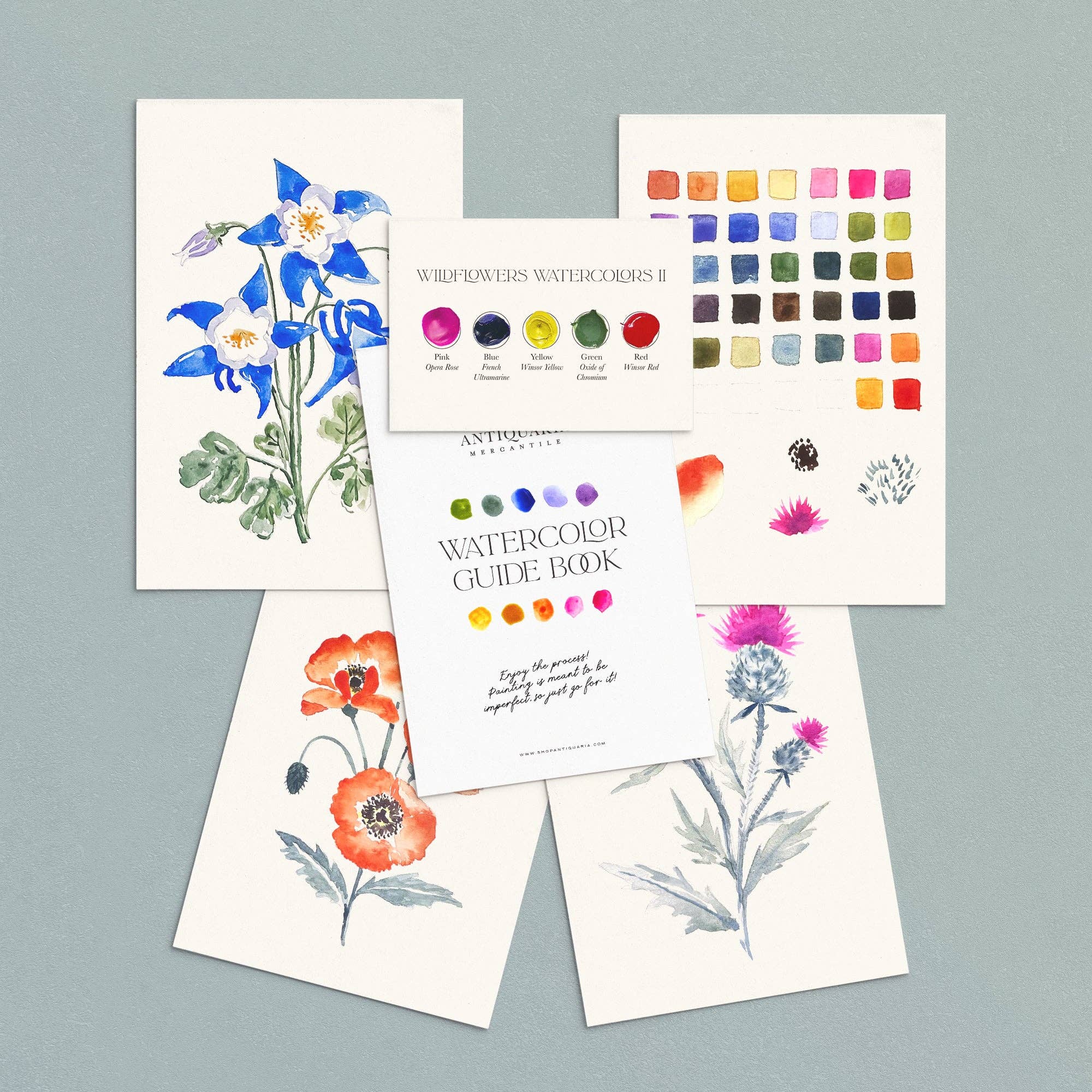 Watercolor Painting Kit : Wildflowers No2