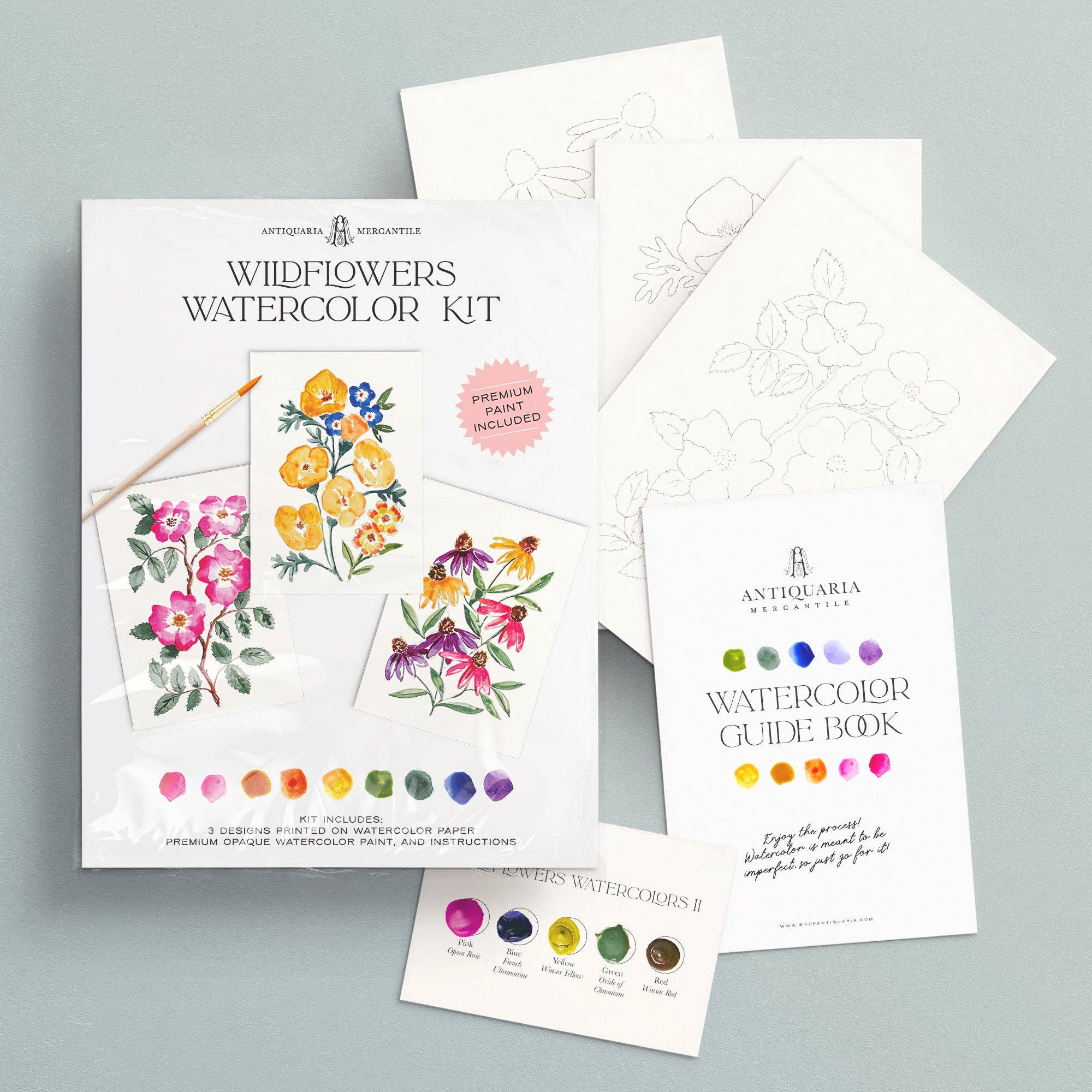 Watercolor Painting Kit : Wildflowers No. 1