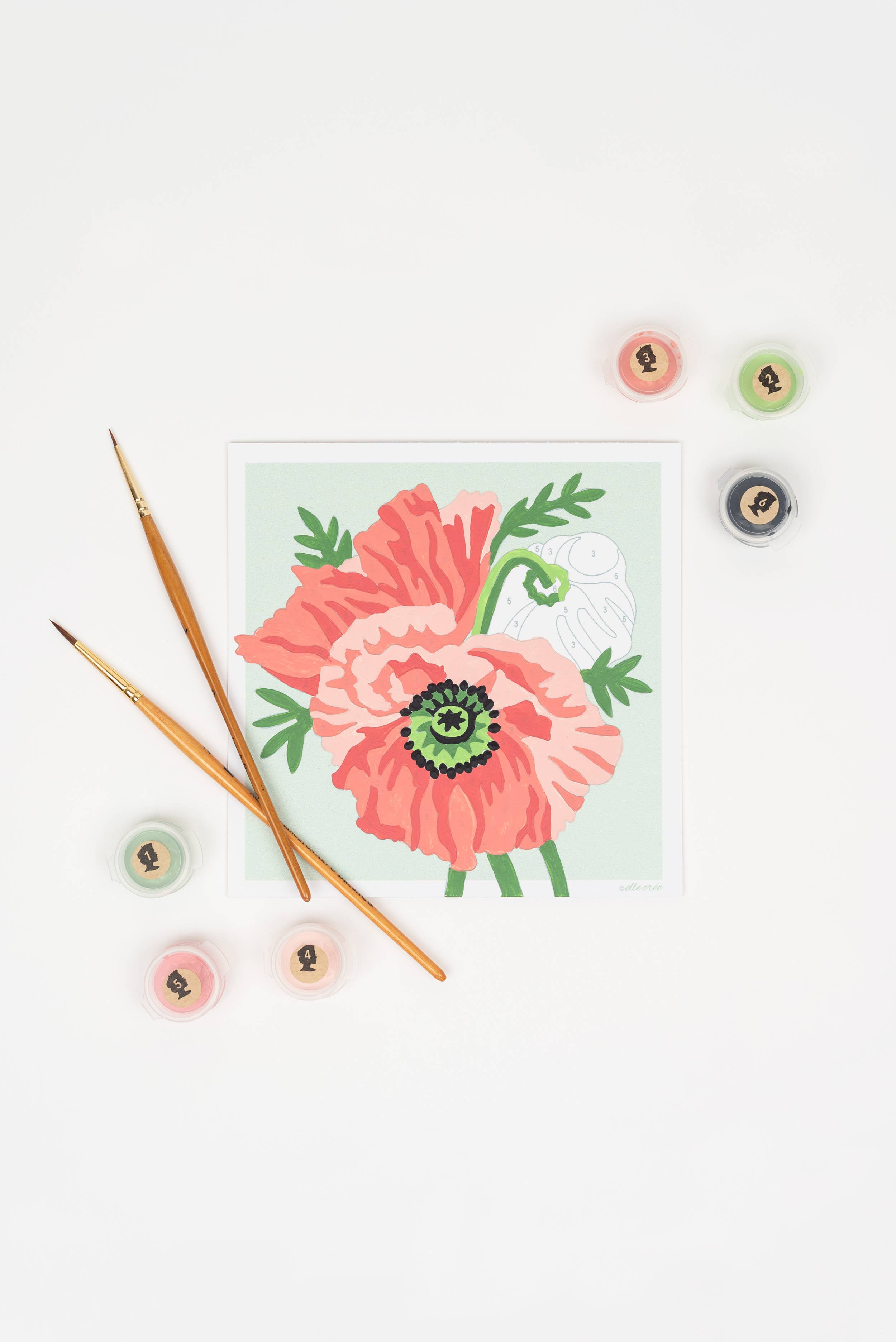 Paint-by-Number Kit MINI - Poppies