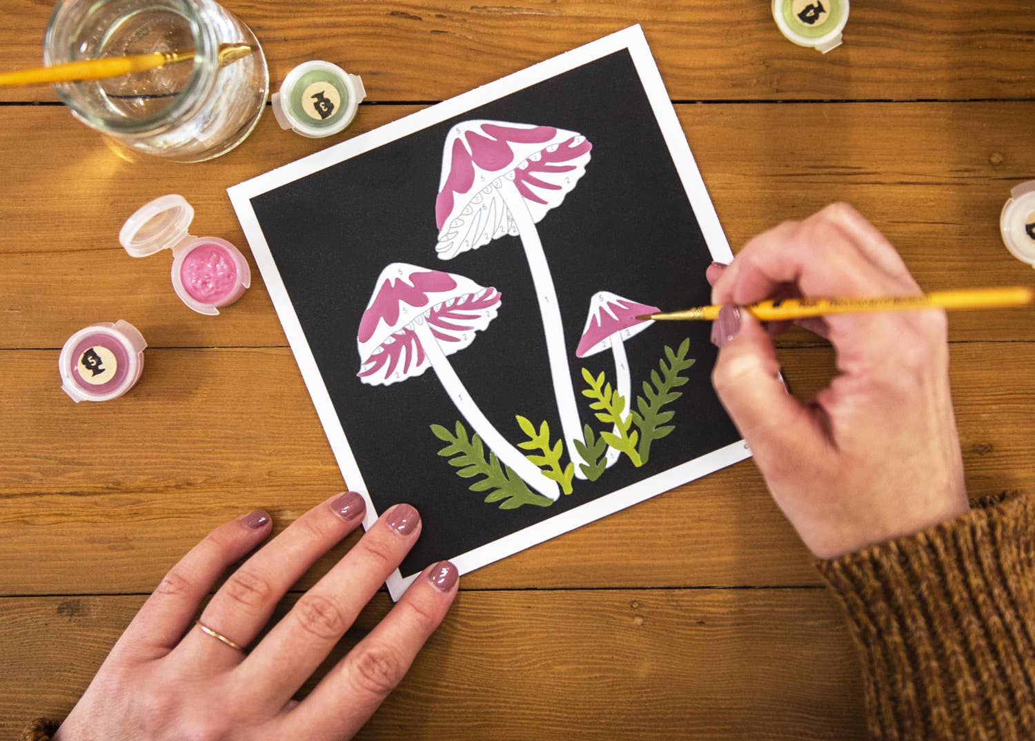 Paint-by-Number Kit MINI - Bleeding Fairy Helmet Mushrooms