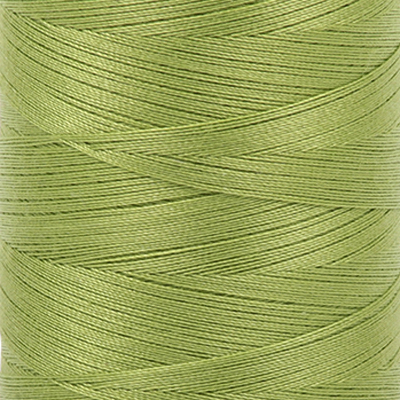 Aurifil 50wt Cotton Thread - Spring Green (#1231) - Small Spool