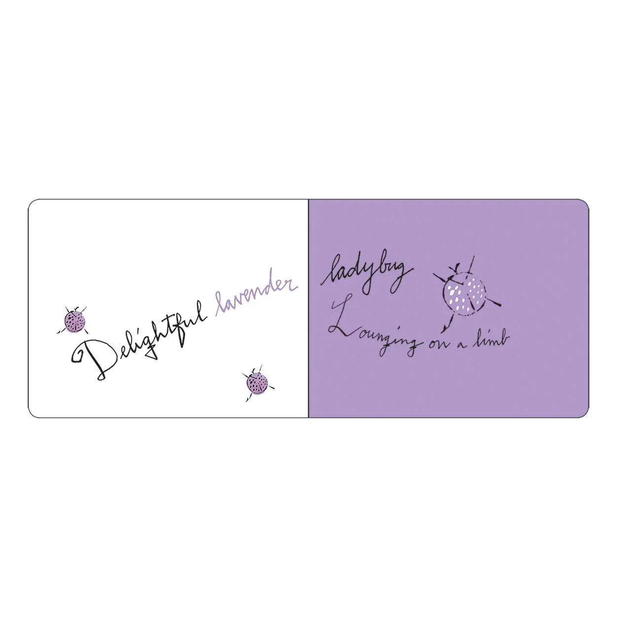 Andy Warhol Colors baby board book