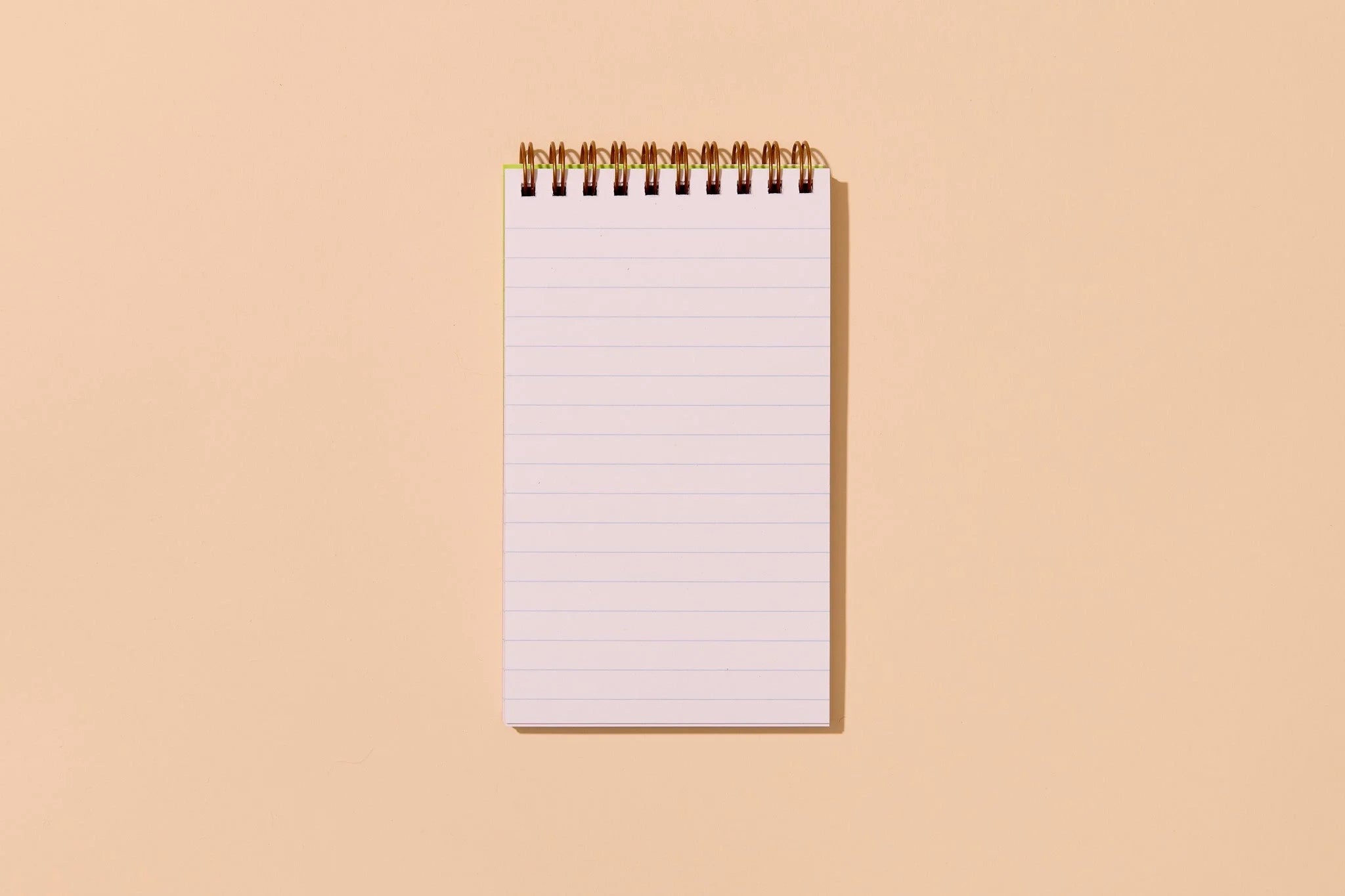 Blueberry Pocket Notebook