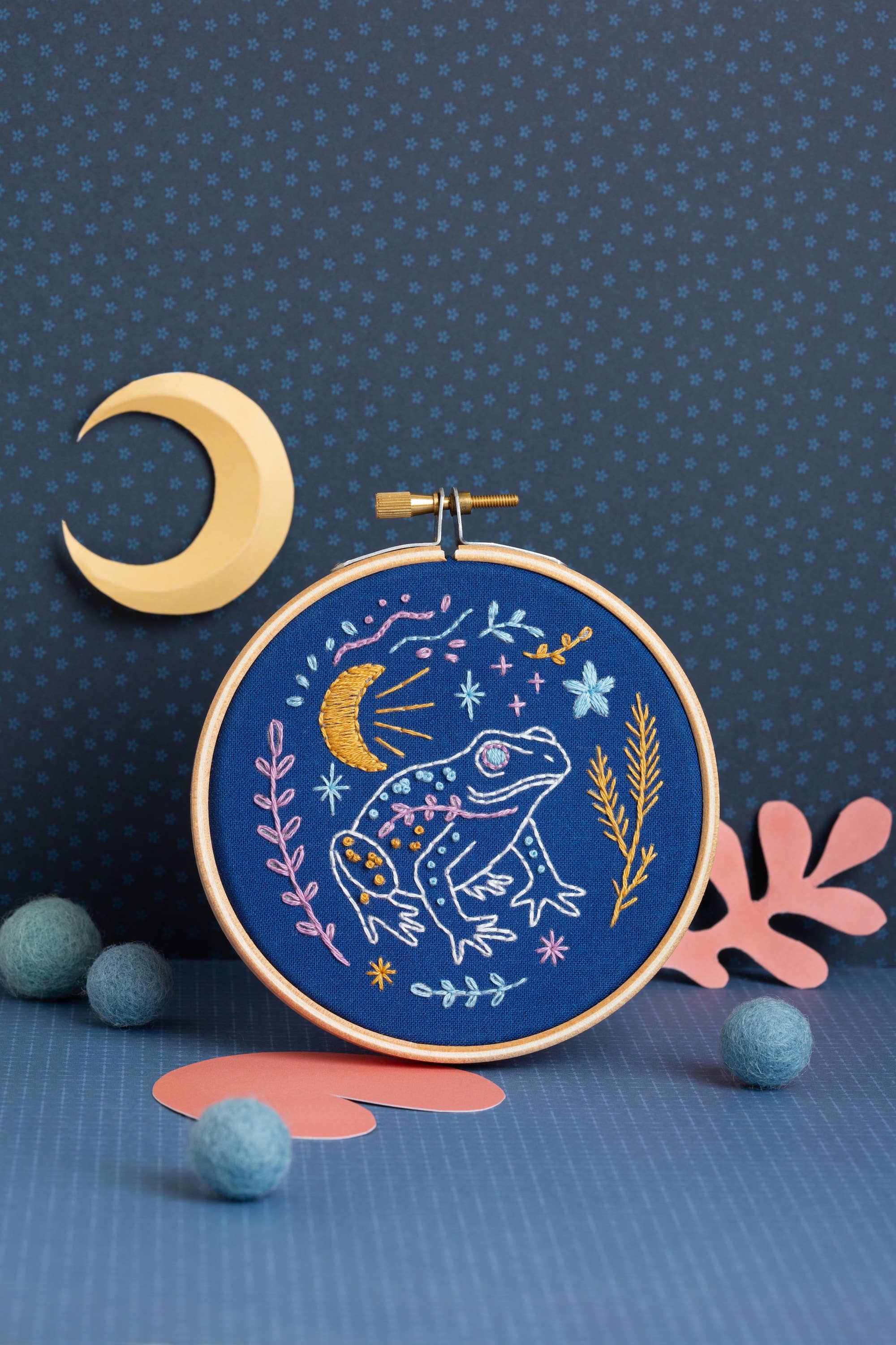 Celestial Frog Mini Embroidery Kit