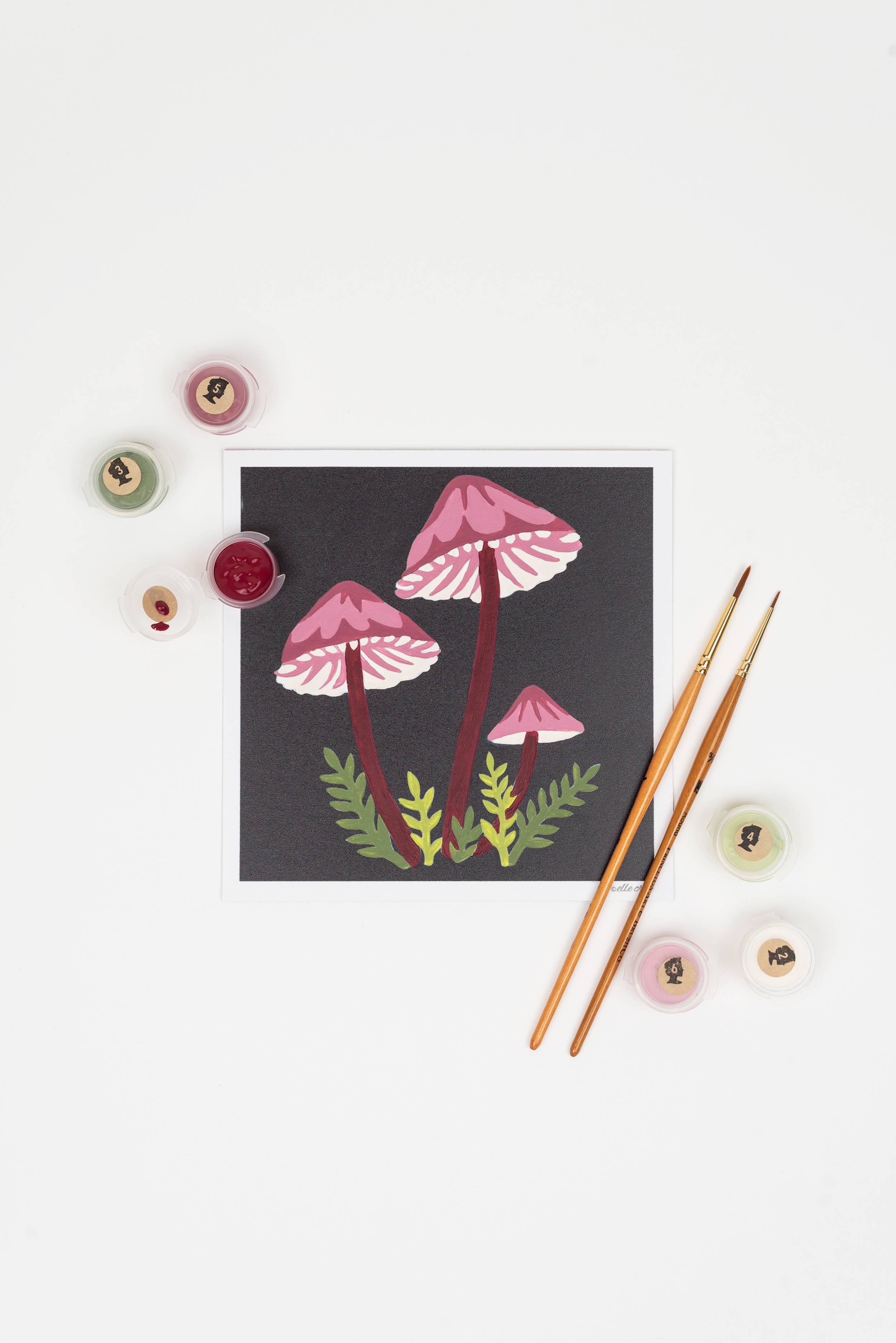 Paint-by-Number Kit MINI - Bleeding Fairy Helmet Mushrooms