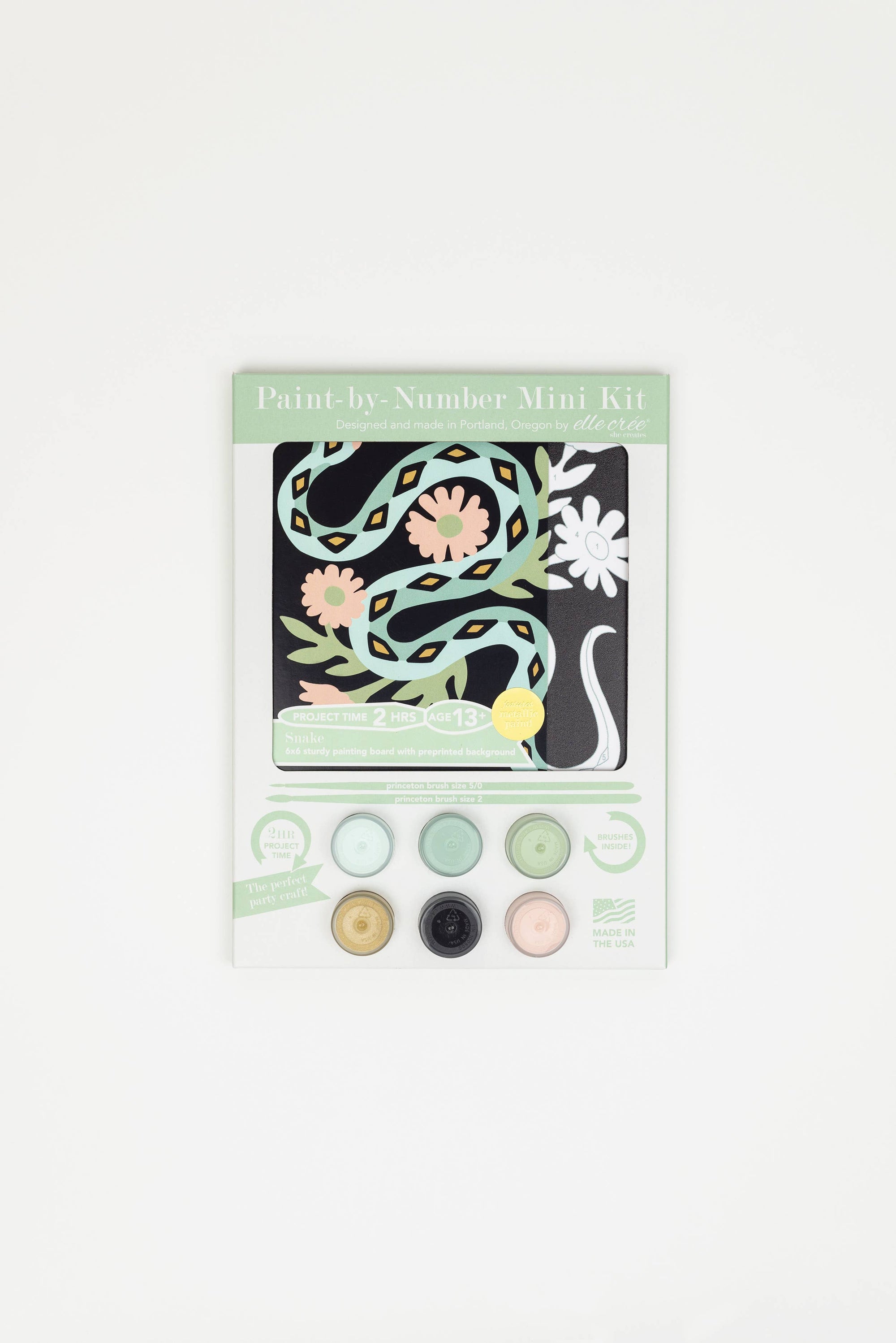 Paint-by-Number Kit MINI - Snake