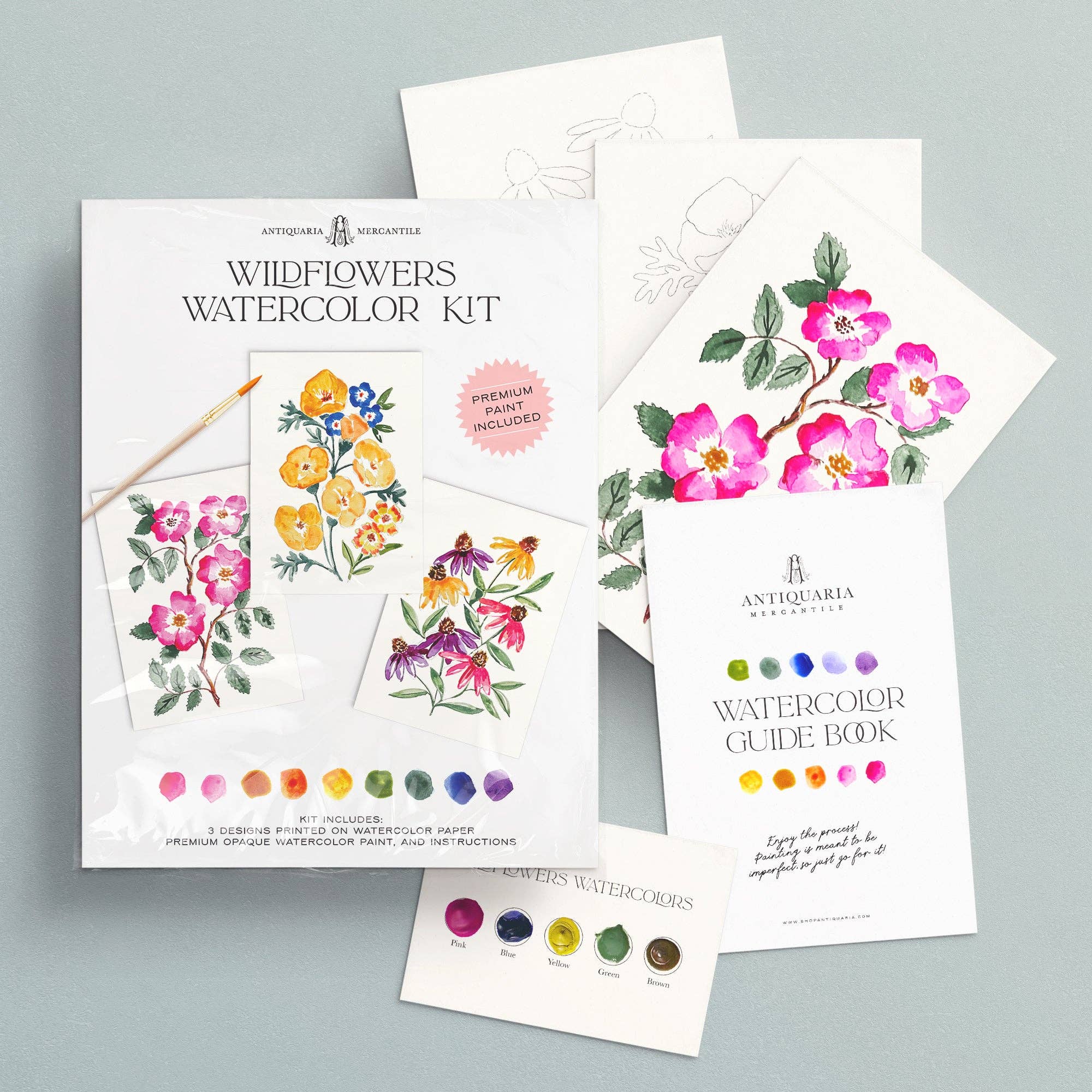 Watercolor Painting Kit : Wildflowers No. 1